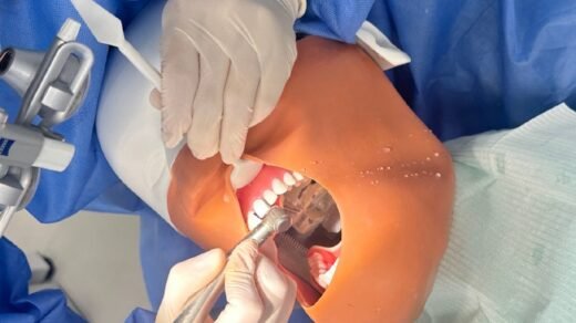 dental student drills the tooth preparation model on phantom head